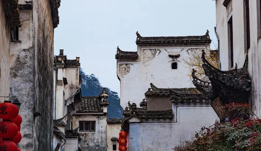 17072896227099.jpg 28505aabc441b5d15dceb393fa9c0aaa.jpg